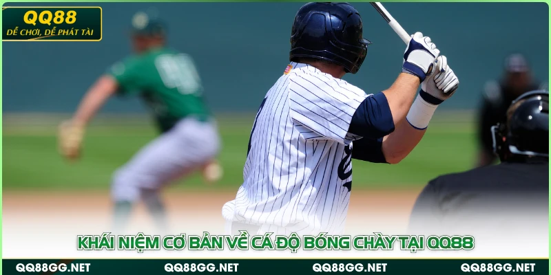 Khái niệm cơ bản về cá độ bóng chày tại QQ88